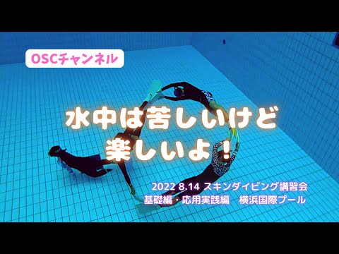 水中は苦しいけど楽しいよ！OSCスキンダイビング講習会・基礎編・応用実践編！横浜国際プールのダイビングプール（水深5メートル）