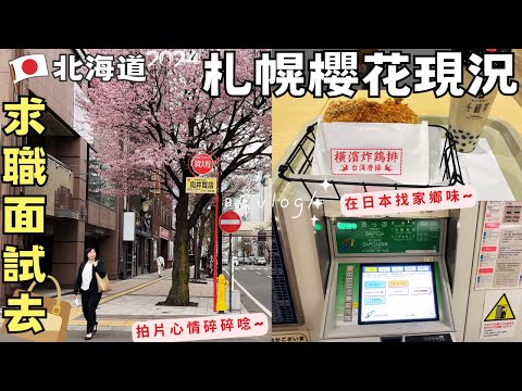 【札幌櫻花現況2024】要找工作了?面試去~微創業拍片心情碎碎唸 ft.Teddy Blake