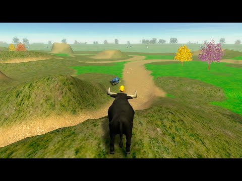 Jugando con el Toro de la Granja