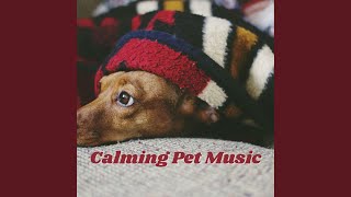 Music for Calm Pets