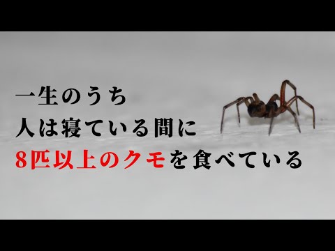 寝ている間に蜘蛛を食べてしまっている？