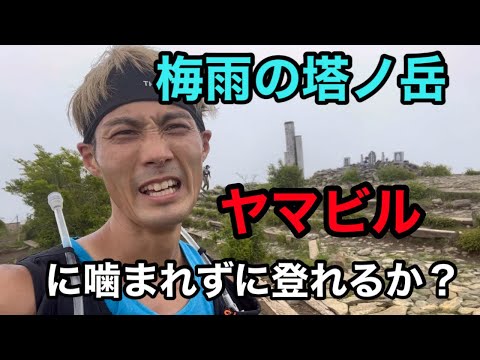 梅雨の塔ノ岳！久しぶりにトレイルランニング#スパルタンレース ＃ヤマビル#塔ノ岳