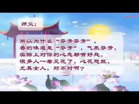 在客厅养自己喜欢的植物可以挡灾吗 Wenda20151113 28:00