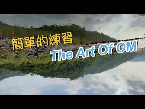 The Art Of Om 薩古魯教我的練習