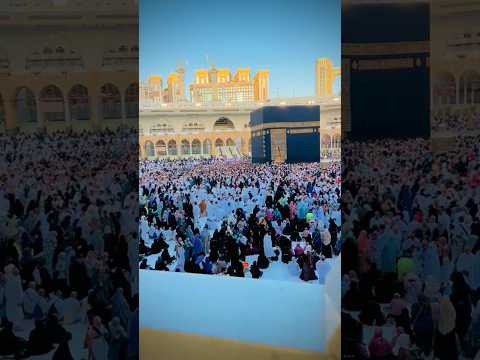 Madina live naat madina chor aay hai #madinahlive #shortsfeed #shorts #youtubeshorts