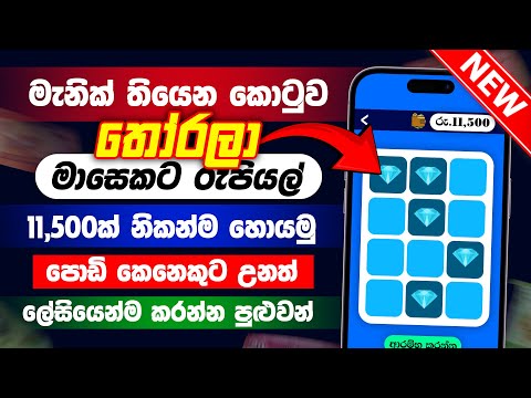 Earning money online sinhala | online job sinhala | online salli hoyana krama | tronking sinhala