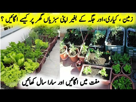 How To Grow Vegetables at Home/Grow Vegitables in Waste Material/Zero Budget kitchen Garden ideas