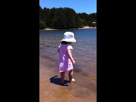 Pittwater playtime