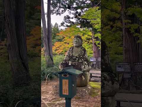 平泉世界遺產｜Hiraizumi ｜日本東北必去景點 #hiraizumi #平泉  #中尊寺  #毛越寺 #淨土宗  #東北旅行  #神社仏閣巡り  #世界文化遺産  #日本旅行  #日本自由行