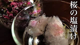 【桜の塩漬け】 の作り方🌸 出来上がりまで約１週間🍵