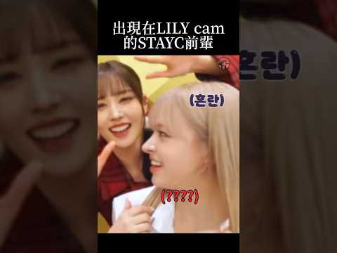 [NMIXX中字]出現在LILY cam的STAYC前輩