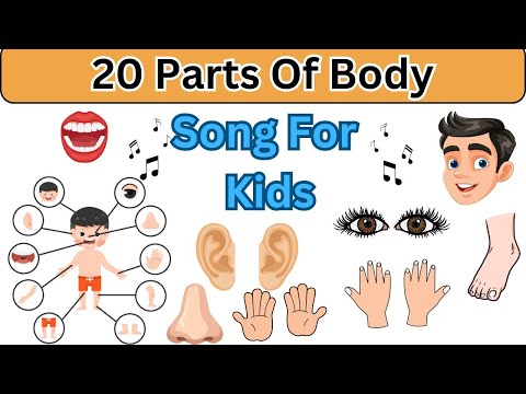 "Learn Body Parts with Song | Educational Video for Kids"