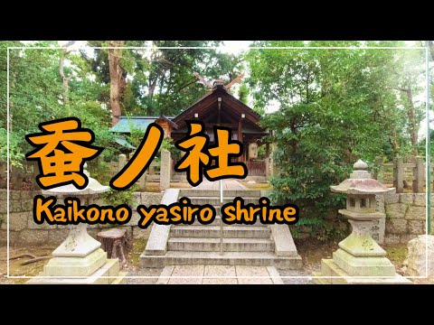 【3min Kyoto】3分で巡る「蚕ノ社」~Kaikono yasiro shrine, Kyoto Japan~