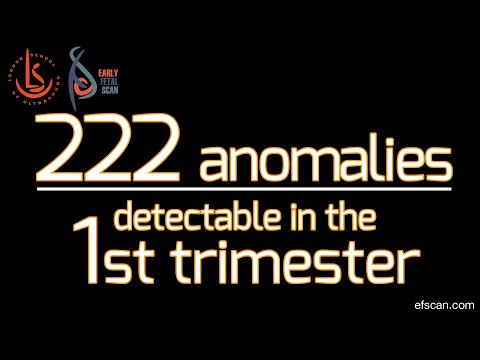 222 Anomalies & Conditions Detectable in the 1st Trimester: EFScan Conference 2021