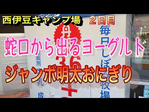 【デリカD5】②  西伊豆キャンプ場　２日目