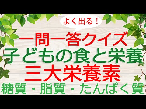 【保育士試験クイズ】子どもの食と栄養「三大栄養素」(2024年後期対策)