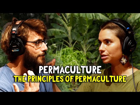 Gardener Breaks Down The Permaculture Principles