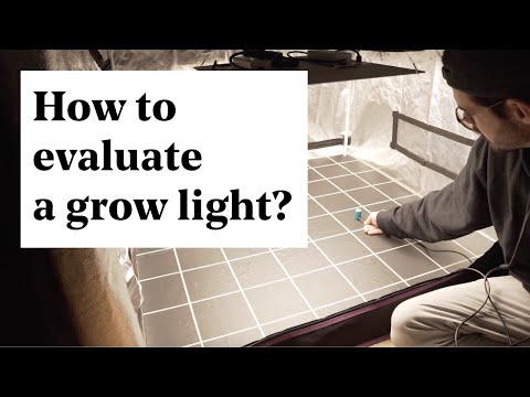 What to look for before buying a grow light? A grower's approach to testing performances