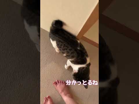 置いてあったチラシをかじり回して叱られました