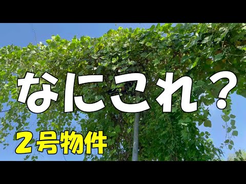 Season2　草木ボーボーの電柱　救出作戦　DIYチャレンジ