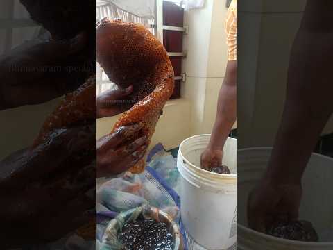 స్వచ్ఛమైన తేనె కొన్నాము😋 Pure honey konnamu #honey #honeybee #realhoney #honeyfilter #viral #honeyco