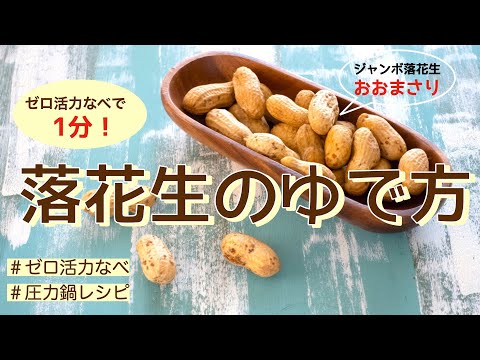 【圧力鍋のプロ直伝】落花生のゆで方（おおまさり）ゼロ活力なべで1分！超時短！