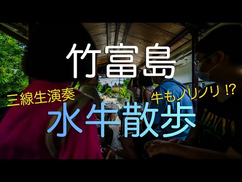 【沖縄県竹富島】BEGIN さんの「竹富島で会いましょう」に触発された男の初水牛散歩/ Taketomi Island, Okinawa Japan.