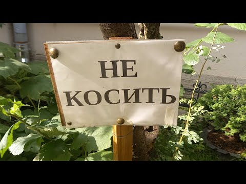 "Не коси!" Секретный способ включать дурака, разработанный древними рептилоидами"