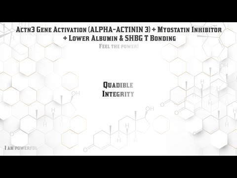 ★ACTN3 Gene Activation (Alpha-Actinin 3) + Myostatin Inhibitor + Lower Albumin and SHBG T Bonding★