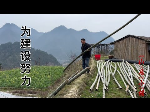 为了修建鸡舍，小伙每天都跟竹子打交道，就是一个人的速度有点慢【南方小杨】