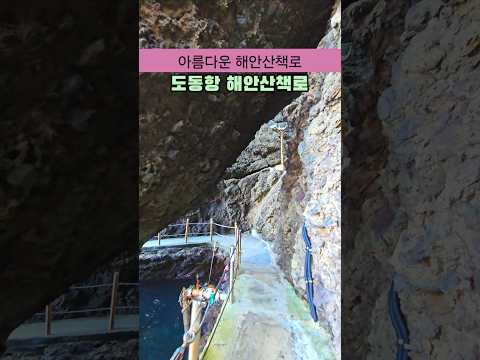 아름다운 해안산책로 도동항 해안산책로 /9월 국내여행지 추천 /10월 국내여행지 추천 /울릉도 여행 /둘레길 가볼만한곳