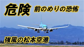 FDA ゴーアラウンドしないとこうなる 荒れた 信州まつもと空港