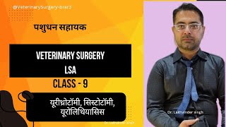 Veterinary surgery class-9 | पशुधनसहायक की सर्जरी class | Urethrotomy| Cystotomy #lsacoaching #lsa