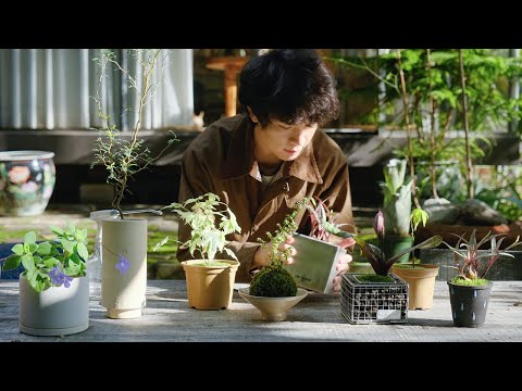 Relaxing Plant Care | Thoughtful plant & pot pairings, kokedama, live moss