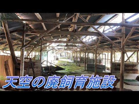 【廃墟】山並みの絶景が見渡せる天空にある廃飼育施設