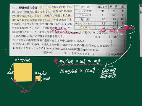 生物 腎臓のはたらき イヌリン 濃縮率 再吸収量