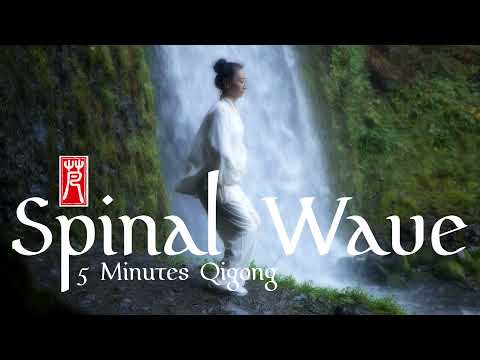 Spinal Wave and Micro Cosmic Orbit | Qigong with Vivien Chao