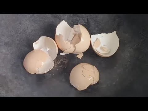 Don't throw away the egg shells at home anymore. Fry them in a pot. They are really useful! [P