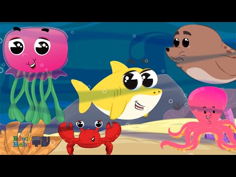 🦈 Baby Shark Juega y Aprende con Otros Animales del Mar 🐳🦭🐙| Tiburón Bebé | Canciones Infantiles