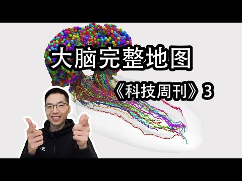 昆虫大脑完整地图，三个国家花了12年！【科技周刊3】