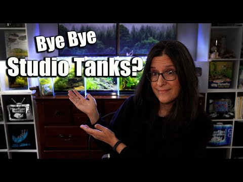 What's Wrong With The Studio Tanks And Why I Haven't Fixed Them...Yet.