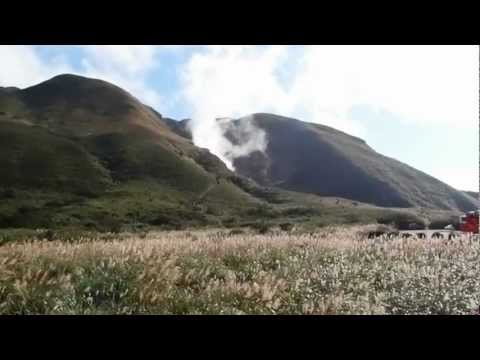 小油坑賞白背芒花