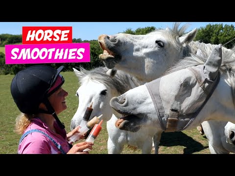 Healthy Horse Smoothies