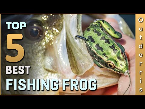 Top 5 Best Fishing Frogs Review in 2023 | Best Frog Lure