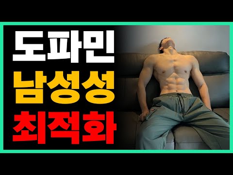 도파민, 남성호르몬 최적화 하는 방법 (쌔끈한 남자 되기)