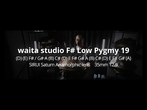 waita studio F# Low Pygmy 19 20240917