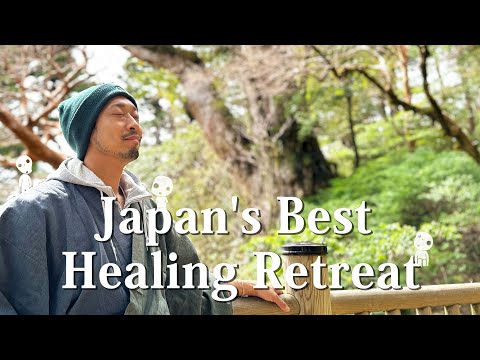 The Best Healing Experience in Japan! Visit Yakushima🇯🇵