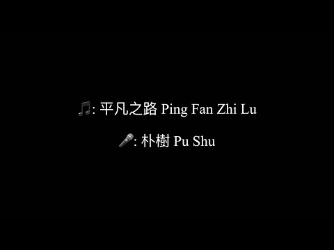 平凡之路 Ping Fan Zhi Lu - 朴樹 Pu shu Chinese+Pinyin+English lyrics video