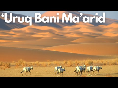 Exploring the Hidden Gem: Uruq Bani Ma’arid, Saudi Arabia