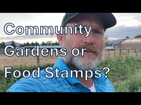 Could Community Gardens Address Food Insecurity?  No!  Free processed food is just too convenient.